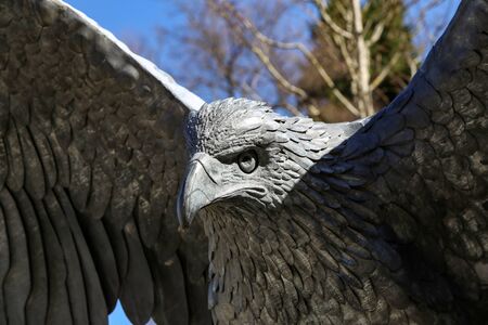 Sculpture of an eagle made of metal close-up.の写真素材