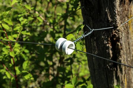 close up of a electrical wire fence around a pasture.