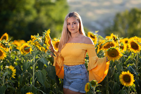 A young lady stands in a sunflower field.の写真素材