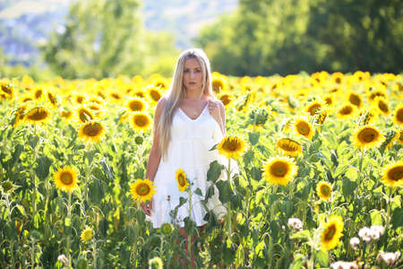Portrait of a young girl in a sunflower field.の写真素材