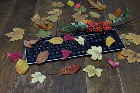 Autumn leaves lie on the computer keyboard.の写真素材