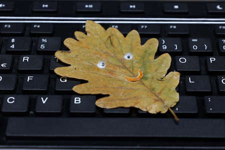 Oak autumn sheet rests on computer keyboardの写真素材