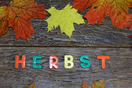 Autumn background with colored leaves on wooden board. Text in German: Autumn.の写真素材