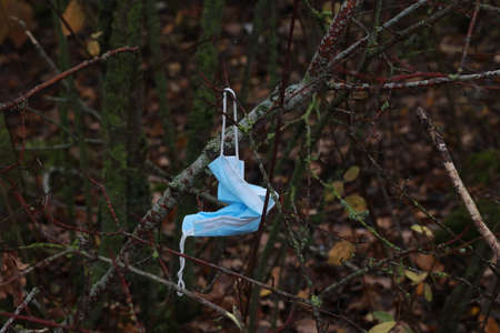 Used medical mask on a tree during the pandemic