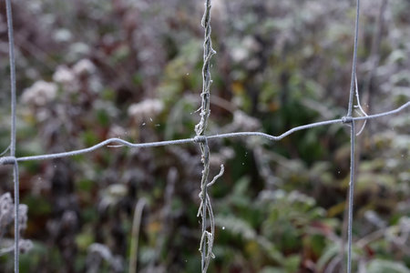 Frost on a metal mesh on a winter morning.の写真素材
