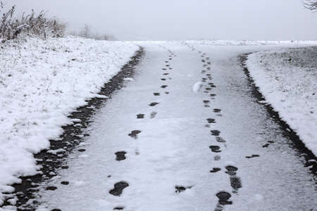 Footprints on the asphalt covered with white snow.の写真素材