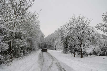 Winter landscape. Fresh white snow lies on the branches of bushes and trees.の写真素材