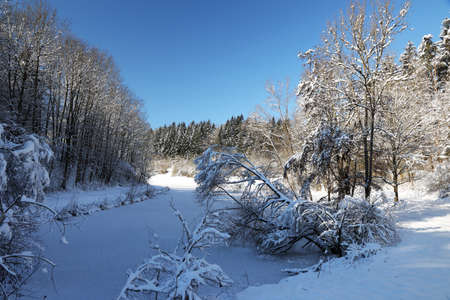 Winter landscape. A frozen lake on a clear winter day.の写真素材