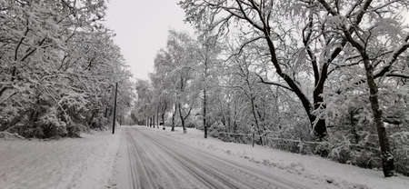 Snowy road on a clear winter day.の写真素材