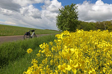 The bike stands on the edge of a rapeseed field.の写真素材