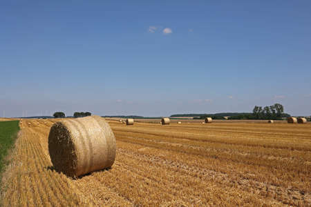 Harvested field with several rolled hay bales in Summer.