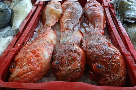 Different sea fish at a fish market in Croatia.
