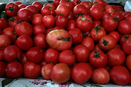 Various vegetables are sold at a bazaar in Croatia.の写真素材