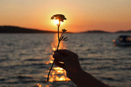 Beautiful summer sunset at sea in Croatia.の写真素材