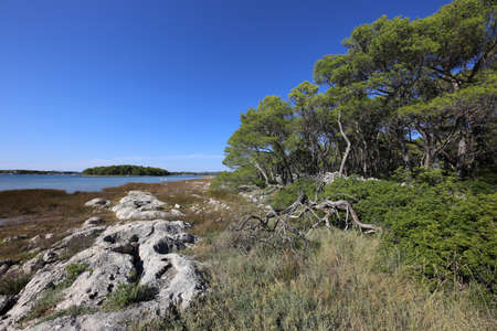Rocky coast on the Adriatic Sea in Croatia.の写真素材
