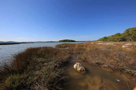 Rocky coast on the Adriatic Sea in Croatiaの写真素材
