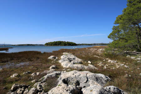 Rocky coast on the Adriatic Sea in Croatiaの写真素材