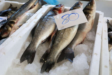 Different sea fish at a fish market in Croatia.の写真素材