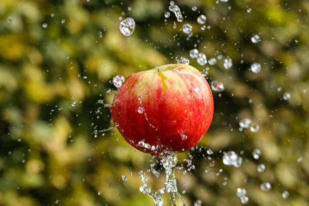 Fresh water splash and red apple isolated on green.の写真素材