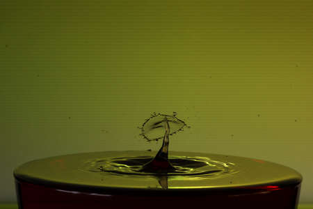 Drops of water on a water surface that result in water sculptures.の写真素材