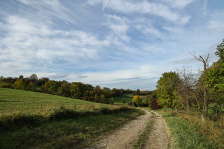 Autumn landscape with green meadows and fields.の写真素材
