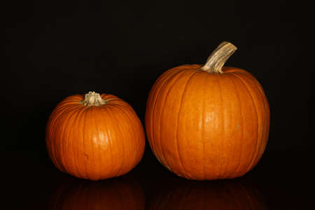Orange colored pumpkins on a black background