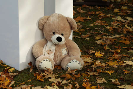 A teddy bear as a decoration for baby shootingの写真素材