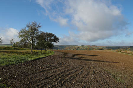 Autumn landscape with fields and meadows on a clear dayの写真素材