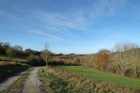 Autumn landscape with fields and meadows on a clear dayの写真素材