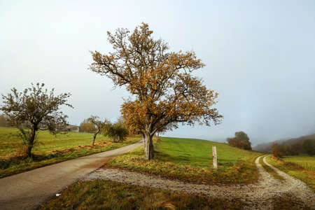 Autumn landscape with fields and meadows on a clear dayの写真素材