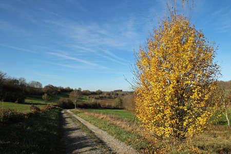 Autumn landscape with fields and meadows on a clear dayの写真素材