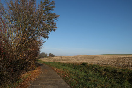 Autumn landscape with fields and meadows on a clear dayの写真素材