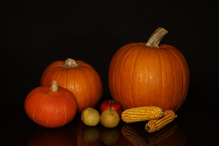 Pumpkins, apples, pears and corn on a black backgroundの写真素材