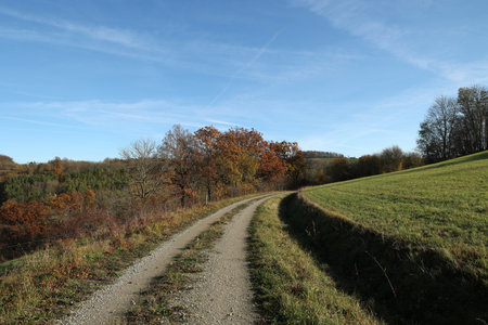 Autumn landscape with fields and meadows on a clear dayの写真素材