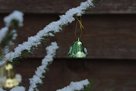 Christmas toys on a tree in the forestの写真素材
