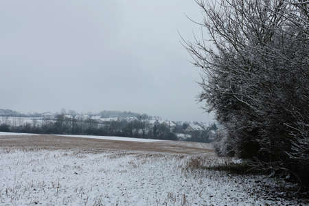 Winter landscape with freshly fallen snow in the morningの写真素材