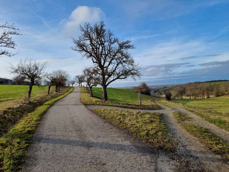 Winter landscape without snow on a sunny dayの写真素材