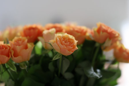 Fragments of a floral bouquet with beautiful roses.の写真素材