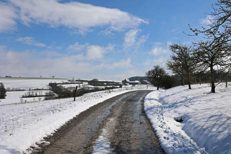 Winter landscape with freshly fallen snow in the morningの写真素材