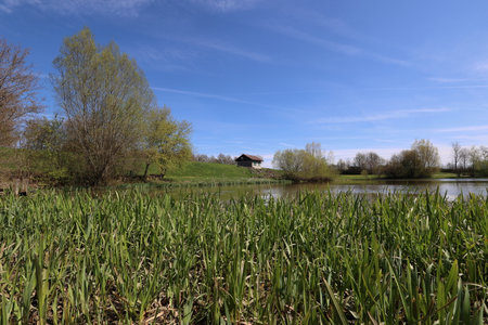 Quiet lake on a clear sunny day.の写真素材