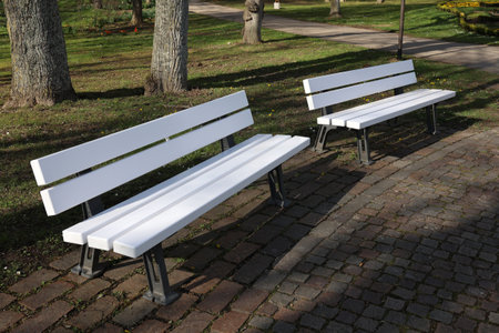 Benches for rest in the city park.の写真素材