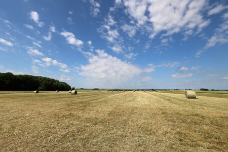 Landscape with harvested fields and rolls of hay.の写真素材