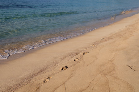 Footprints on the sand of the beach.の写真素材
