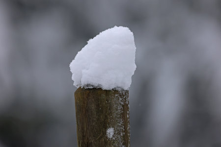 Caps of snow on fence posts in winter.の写真素材