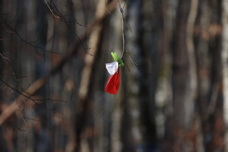 Bright marks in the winter forestの写真素材