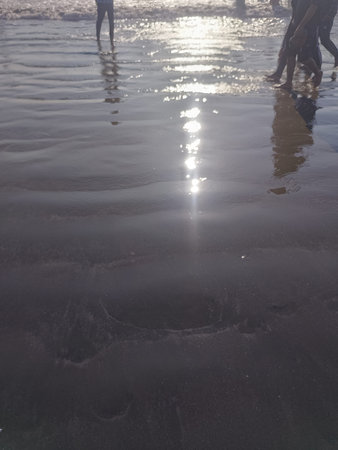 Sparkling Sea Beach Sand in Evening Light