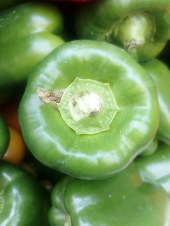 Fresh Red Capsicum Fruits on the Kitchen Counter