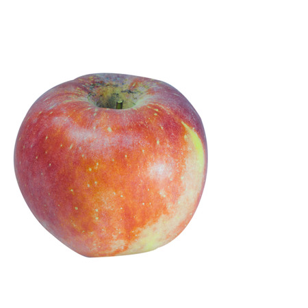 Apple on a white background.の写真素材