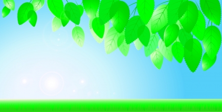 background with blue sky, sun, branch with leaves and grassのイラスト素材