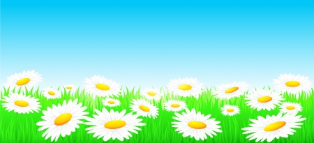 natural summer background with flowers, sky and sunのイラスト素材